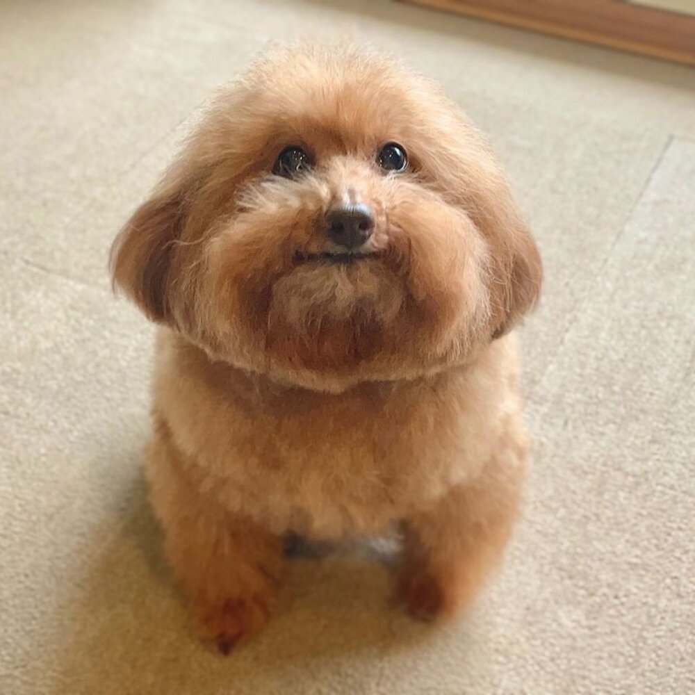 :3